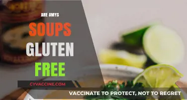 Are Amy's Soups Gluten-Free? A Comprehensive Guide for Celiacs