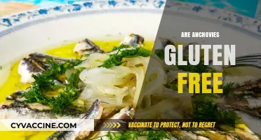 Are Anchovies Gluten-Free? A Complete Guide to Safe Seafood Choices