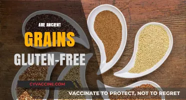 Ancient Grains and Gluten: Unraveling the Truth for a Healthier Diet