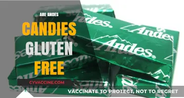 Are Andes Mints Gluten-Free? A Sweet Treat Analysis