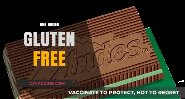 Are Andes Mints Gluten-Free? A Sweet Treat Analysis