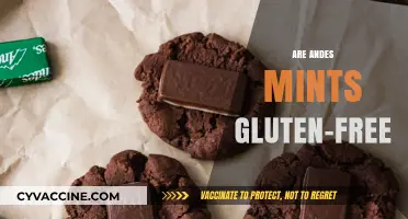 Are Andes Mints Gluten-Free? A Sweet Treat Investigation