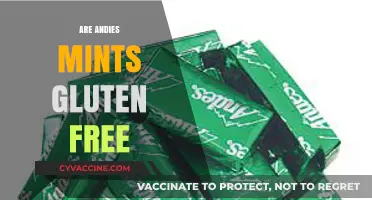 Are Andies Mints Gluten Free? A Comprehensive Guide for Celiacs