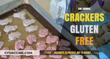 Are Animal Crackers Gluten-Free? A Comprehensive Guide for Snackers