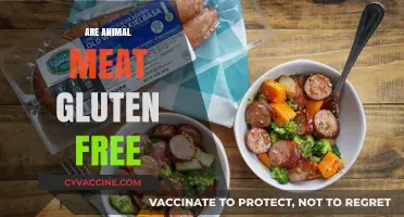 Is Animal Meat Gluten-Free? Understanding Dietary Restrictions and Protein Sources