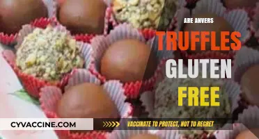 Are Anvers Truffles Gluten-Free? A Delicious Chocolate Inquiry