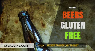 Gluten-Free Beers: Exploring Safe Options for Celiac and Sensitive Drinkers