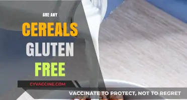 Gluten-Free Cereal Options: A Guide to Safe Breakfast Choices