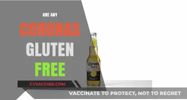 Gluten-Free Corona Beer: Exploring Options for Celiac and Sensitive Drinkers