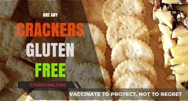 Discovering Gluten-Free Crackers: A Crunchy, Safe Snack Option