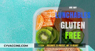 Gluten-Free Lunchables: Discovering Safe and Tasty Options for Your Lunch