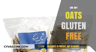 Are Oats Gluten-Free? Unraveling the Truth for Celiac Diets