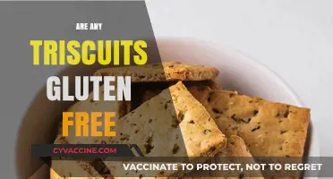 Are Triscuits Gluten-Free? Unraveling the Crunchy Snack Mystery