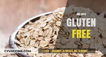 Are AOTS Gluten Free? Unraveling the Truth About This Snack