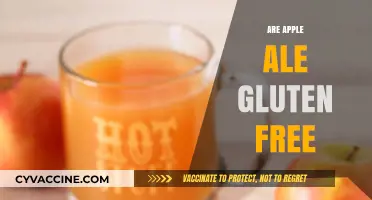 Are Apple Ales Gluten-Free? Exploring Celiac-Safe Cider Options