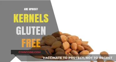 Are Apricot Kernels Gluten-Free? A Comprehensive Guide to Safe Consumption