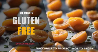 Are Apricots Gluten-Free? A Complete Guide to Safe Snacking
