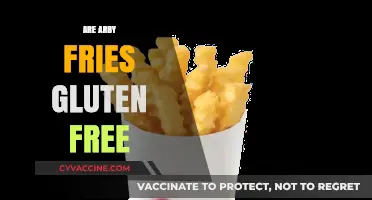 Are Arby's Fries Gluten-Free? A Complete Guide for Celiac Diners
