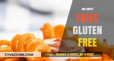 Are Arby's Fries Gluten-Free? A Complete Guide for Celiac Diners