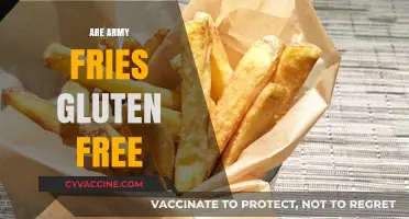 Are Army Fries Gluten-Free? A Complete Guide for Dietary Needs