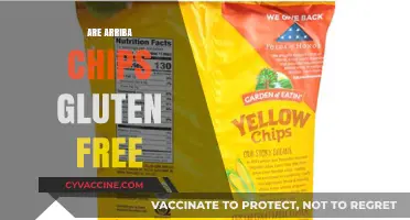 Are Arriba Chips Gluten-Free? A Crunchy Snack Fact Check