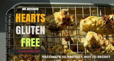Are Artichoke Hearts Gluten-Free? A Complete Guide for Celiacs