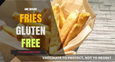 Are Aussie Fries Gluten-Free? A Complete Guide for Celiac Diners
