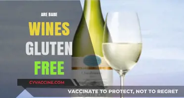 Are Babe Wines Gluten-Free? A Complete Guide for Wine Lovers