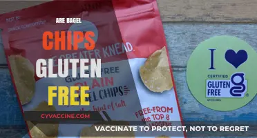 Are Bagel Chips Gluten-Free? A Crunchy Snack Fact Check