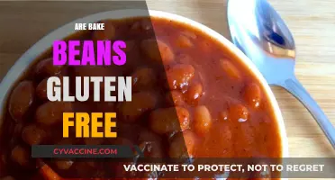 Are Baked Beans Gluten-Free? A Comprehensive Guide for Celiacs