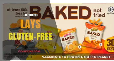 Are Baked Lays Gluten-Free? A Crunchy Snack Fact Check