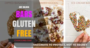 Are Balboa Bars Gluten-Free? A Sweet Treat Investigation
