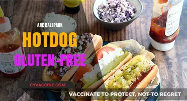Are Ballpark Hot Dogs Gluten-Free? A Complete Guide for Fans