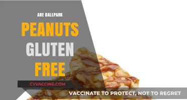 Are Ballpark Peanuts Gluten-Free? A Snack Safety Guide