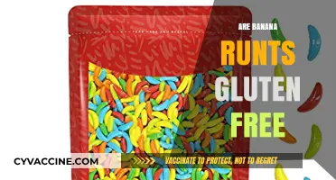 Are Banana Runts Gluten Free? A Sweet Snack Fact Check