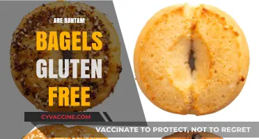 Are Bantam Bagels Gluten-Free? A Tasty Truth Revealed