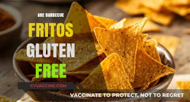 Are Barbecue Fritos Gluten-Free? A Crunchy Snack Fact Check