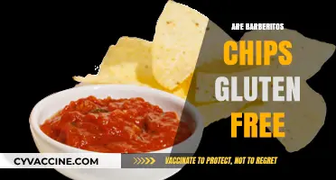 Are Barberitos Chips Gluten-Free? A Complete Guide for Snack Lovers