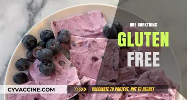 Are Bark Thins Gluten-Free? A Complete Guide to Ingredients