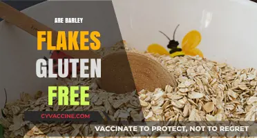 Are Barley Flakes Gluten-Free? Unraveling the Truth for Your Diet