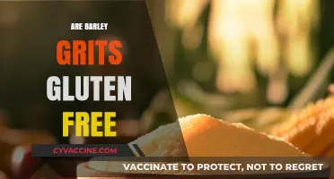 Are Barley Grits Gluten-Free? Unraveling the Truth for Your Diet