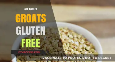 Are Barley Groats Gluten-Free? Unraveling the Truth for Your Diet