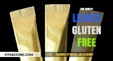 Are Barley Leaves Gluten-Free? Unraveling the Truth for Celiac Diets