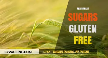 Are Barley Sugars Gluten-Free? Unraveling the Sweet Truth for Celiacs