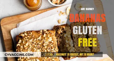 Are Barney Bananas Gluten-Free? A Comprehensive Guide for Snackers