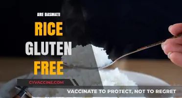 Is Basmati Rice Gluten-Free? A Complete Guide for Celiacs