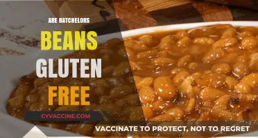Are Batchelors Beans Gluten-Free? A Complete Guide for Celiacs