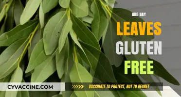 Are Bay Leaves Gluten-Free? A Comprehensive Guide for Safe Cooking