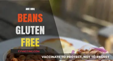 Are BBQ Beans Gluten-Free? A Complete Guide for Celiac Diets