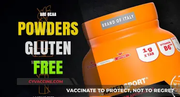 Are BCAA Powders Gluten-Free? A Comprehensive Guide for Fitness Enthusiasts